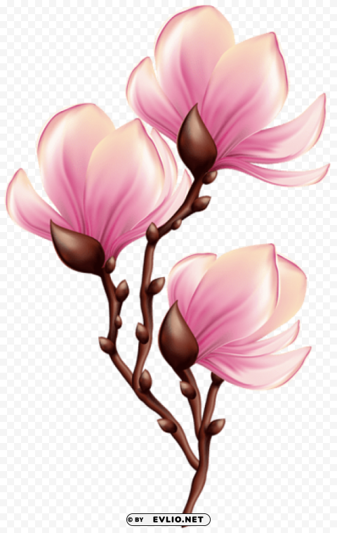 Beautiful Blooming Branch PNG Image With Transparent Cutout