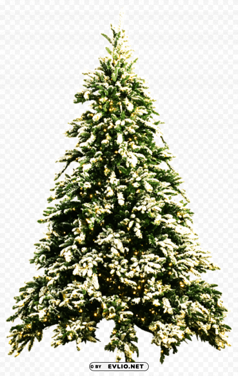 christmas tree by PNG files with alpha channel clipart png photo - fb4b5370