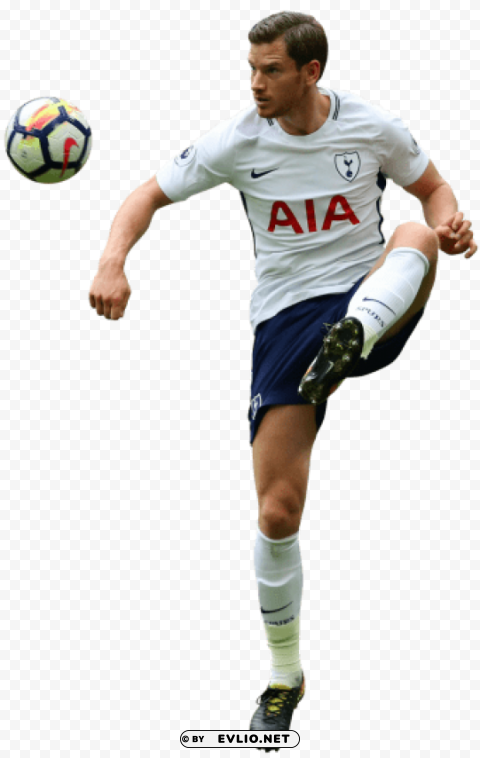 jan vertonghen Clear PNG pictures free