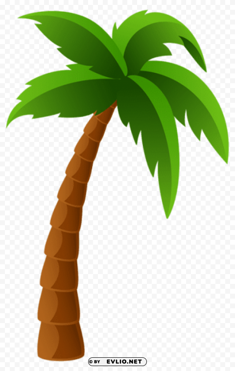 palm tree Isolated Design on Clear Transparent PNG