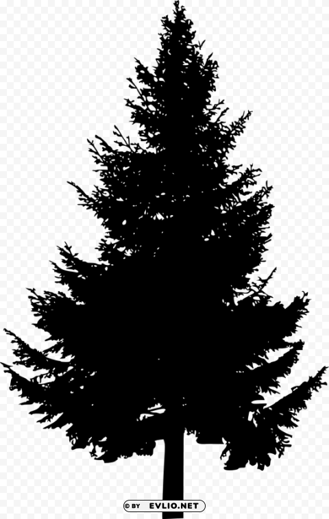 pine tree silhouette Isolated Character on HighResolution PNG