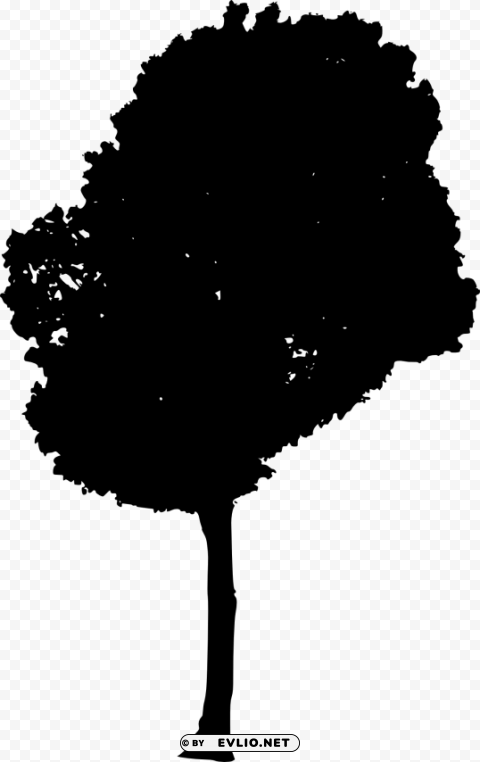 tree silhouette Isolated Subject in Transparent PNG Format