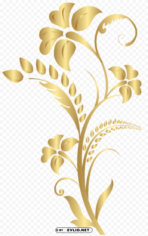 floral element gold High-resolution PNG images with transparency wide set