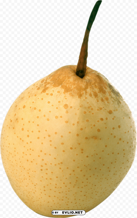 pear PNG isolated