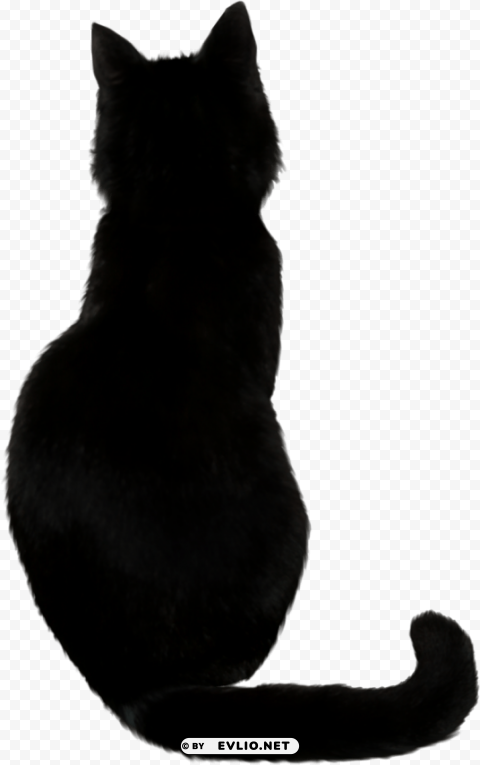 black cat ClearCut Background PNG Isolated Subject
