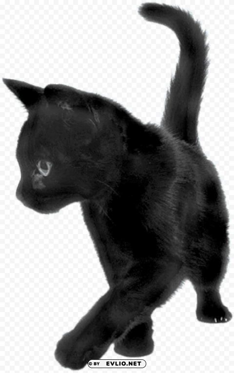 black cat sideview PNG file without watermark