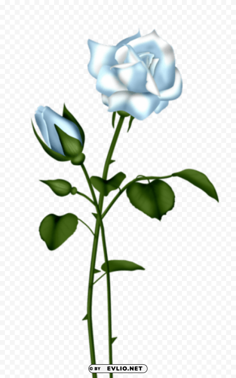 PNG image of light blue rose Free PNG images with transparent layers with a clear background - Image ID 69f9293f