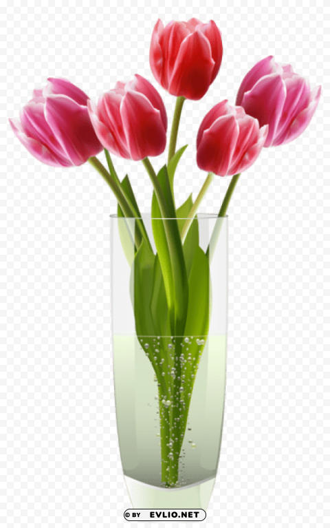 pink red tulips vase Transparent PNG Isolated Graphic with Clarity