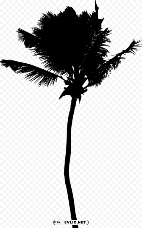 Palm Tree Silhouette Clear Background Isolated PNG Illustration