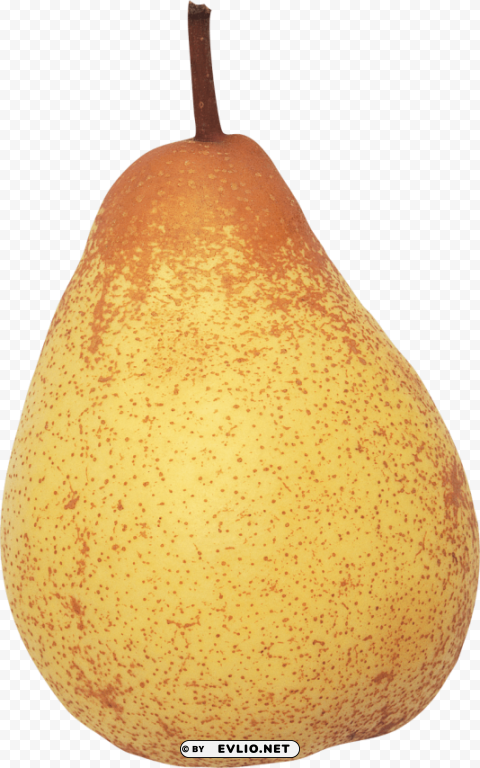 pear PNG Image with Transparent Isolated Graphic Element