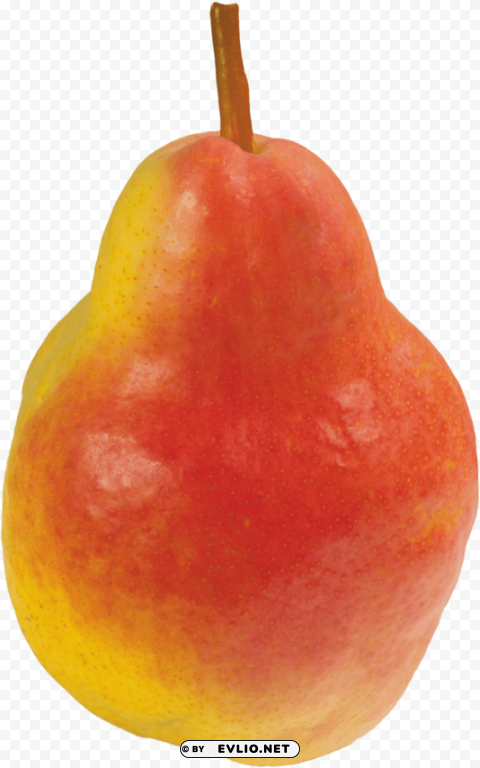 Pear Isolated PNG Graphic With Transparency