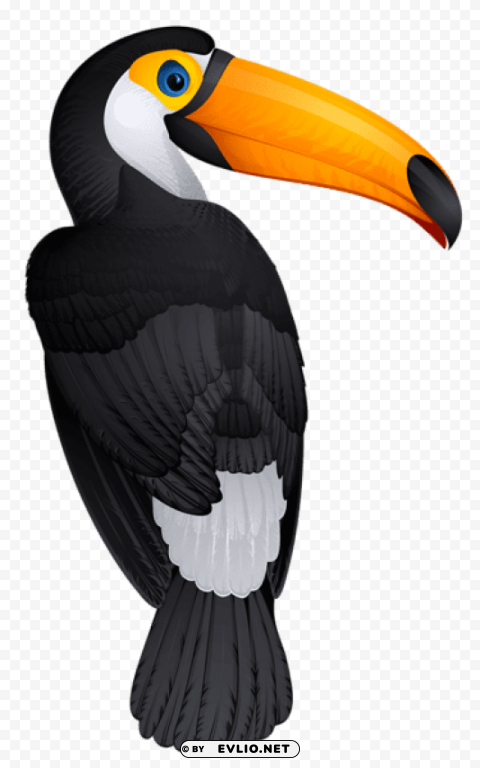 toucan birdpicture Isolated Artwork on HighQuality Transparent PNG