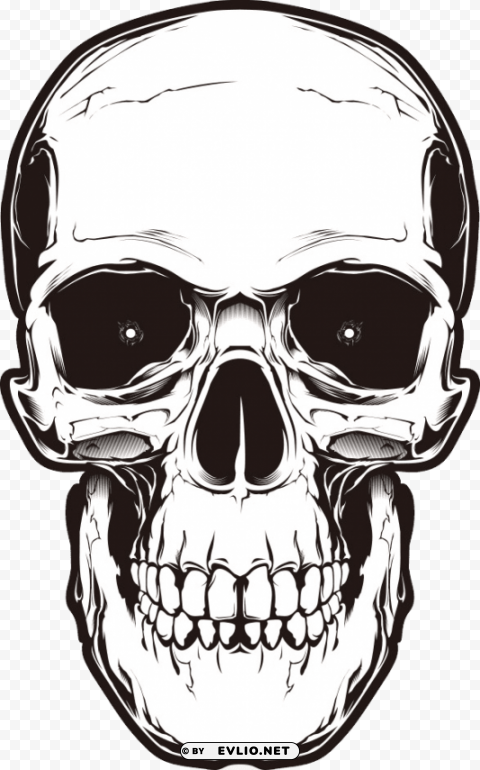 skulls PNG Image with Transparent Isolated Graphic Element