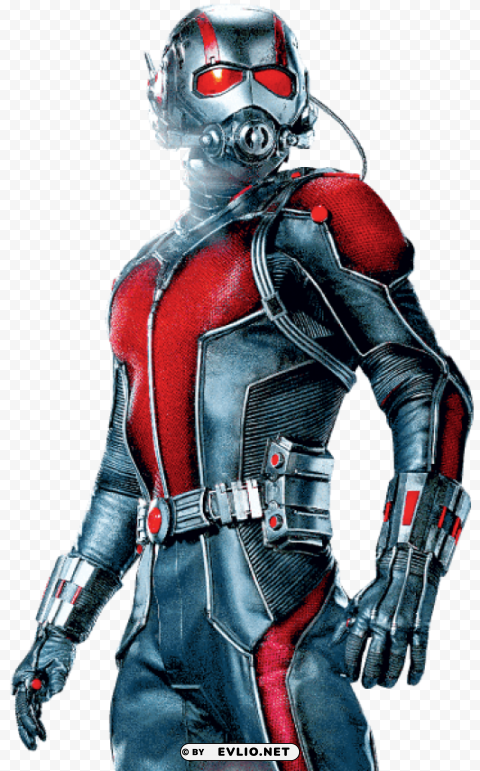 ant man sideview Isolated Element in HighResolution Transparent PNG