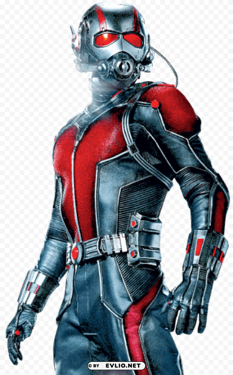 ant man sideview Isolated Element in HighResolution Transparent PNG PNG transparent with Clear Background ID 47cbcdc2