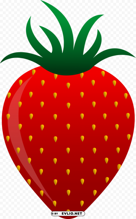 Strawberry Clear PNG Pictures Compilation