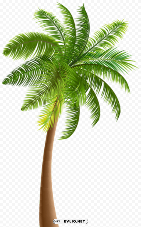 PNG image of palm Transparent Background PNG Isolated Character with a clear background - Image ID 4a1d9f5e