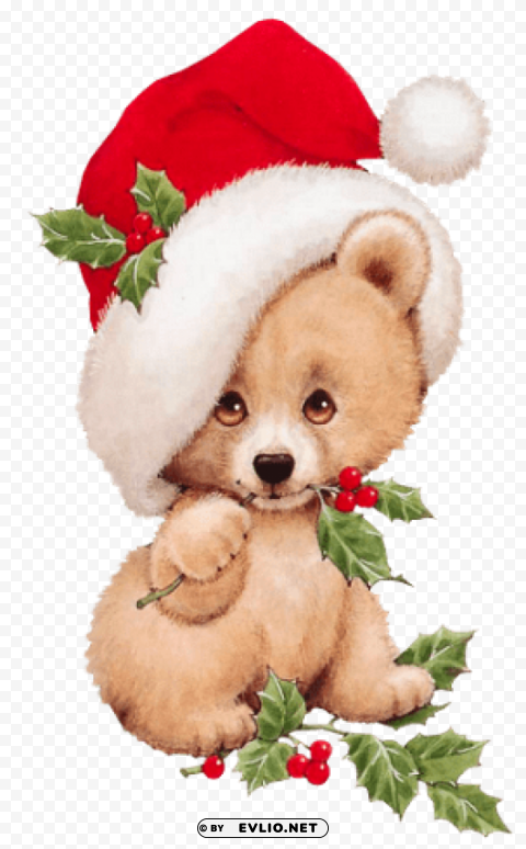 christmas bear with mistletoe transparent PNG Isolated Object on Clear Background