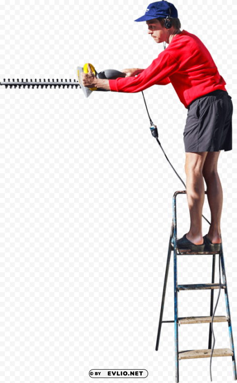 Transparent background PNG image of on a ladder cutting the hedge PNG images for editing - Image ID c550440d