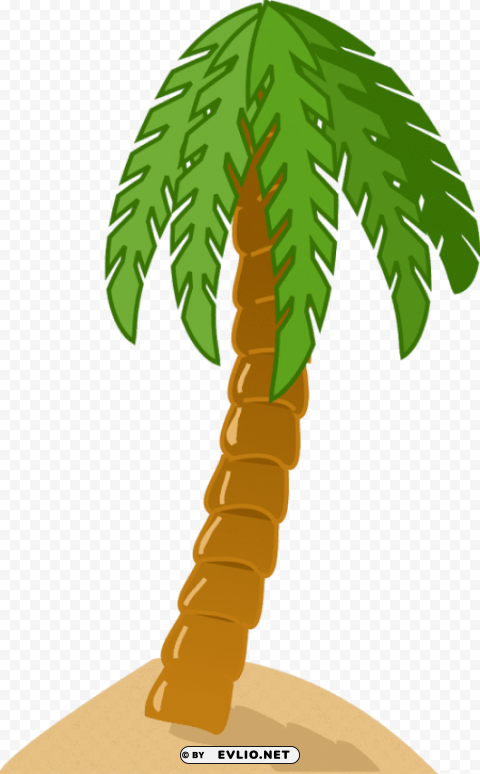 Palm Tree PNG Images With No Background Necessary