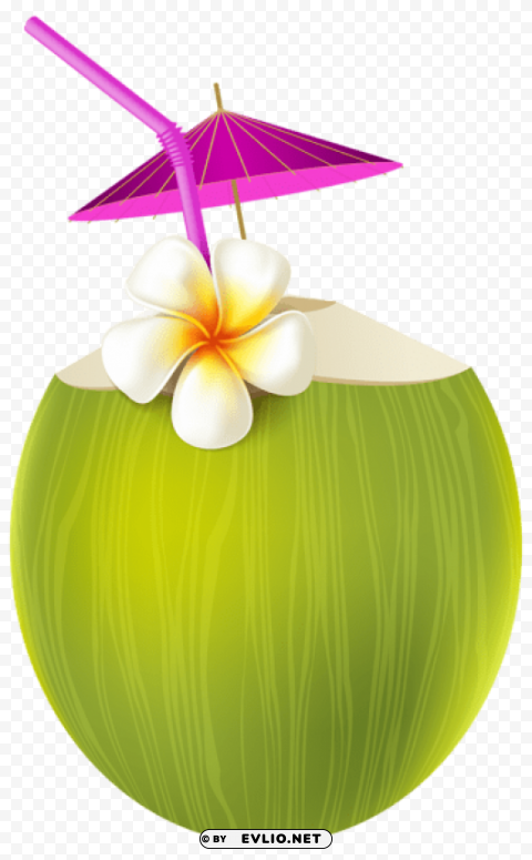 exotic drink PNG images with transparent elements pack