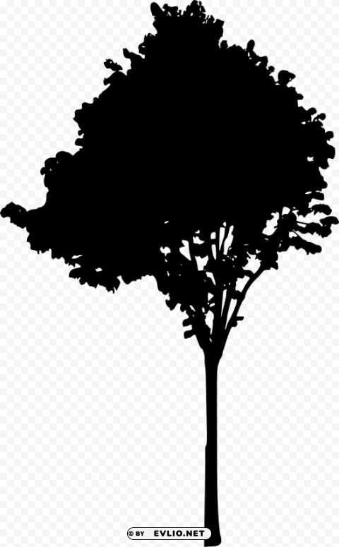 tree silhouette PNG clear images