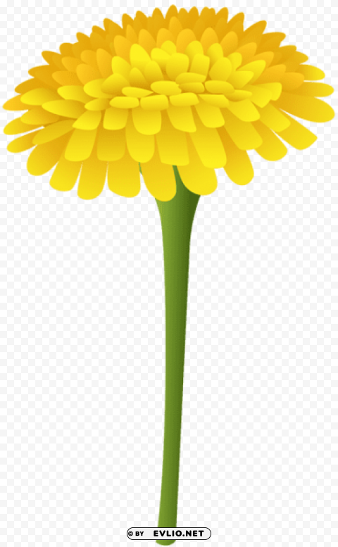 dandelion PNG Graphic Isolated on Clear Backdrop