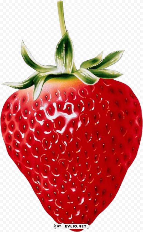 Natural Strawberry HighResolution Transparent PNG Isolated Graphic