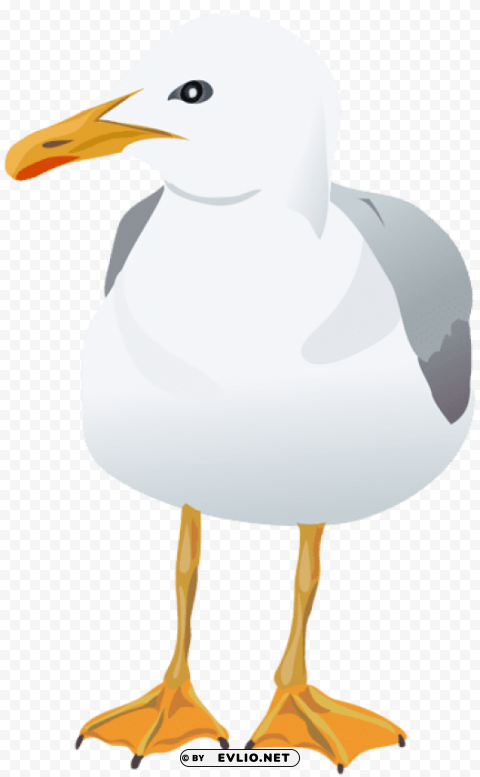 seagull HighQuality Transparent PNG Element