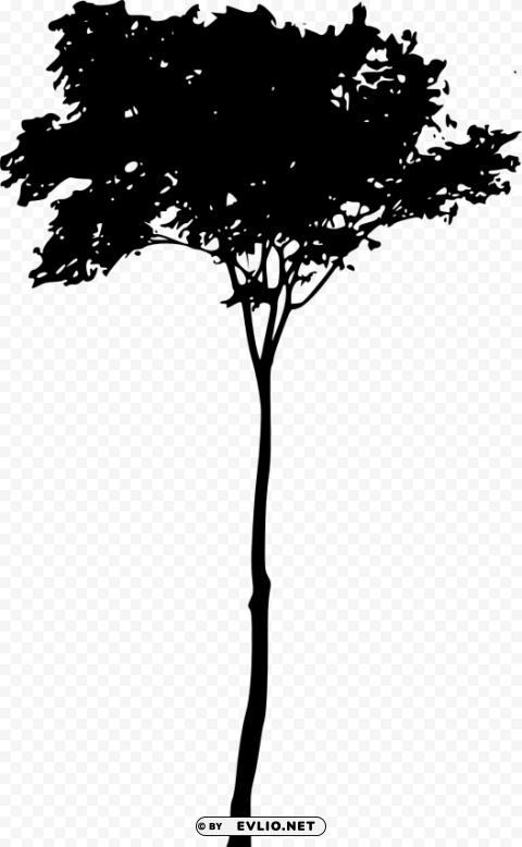 tree silhouette Isolated PNG Object with Clear Background