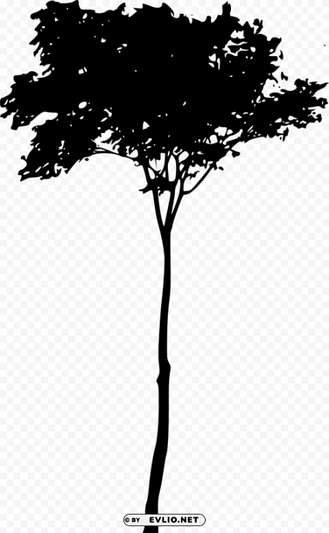 Transparent tree silhouette Isolated PNG Object with Clear Background PNG Image - ID ec5ffc95