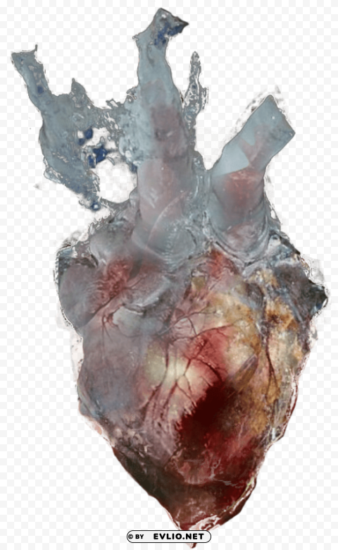 frozen heart Transparent Background PNG Object Isolation