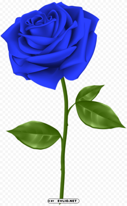 PNG image of blue rose PNG transparent graphics for download with a clear background - Image ID 024fa74a