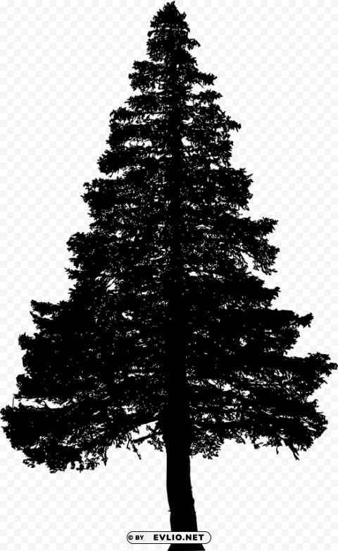 pine tree silhouette Isolated Character in Clear Transparent PNG