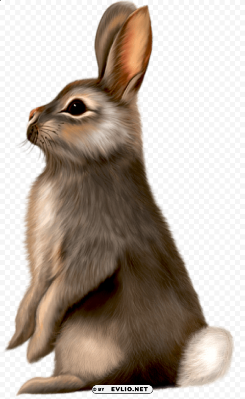 painted brown bunny Isolated Element on Transparent PNG