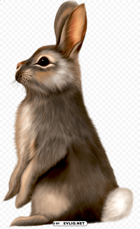 Painted Brown Bunny Isolated Element On Transparent PNG