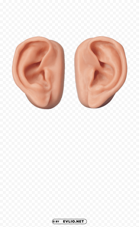 ear Clean Background Isolated PNG Graphic