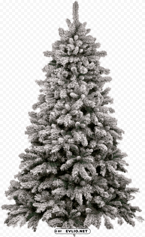 Transparent Christmas Tree Free PNG Images With Alpha Transparency Compilation