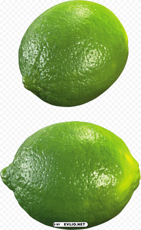 lime PNG files with no royalties