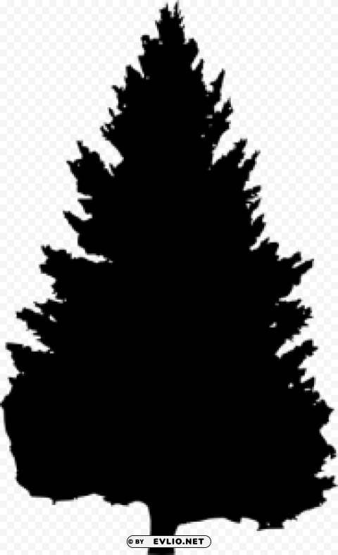 Pine Tree Silhouette PNG with Isolated Transparency