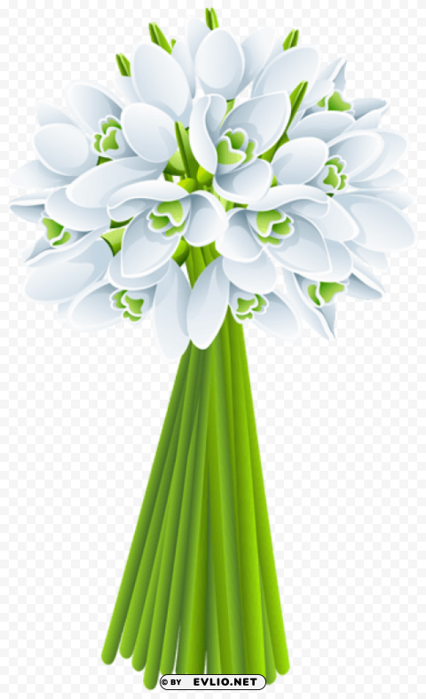 springs snowdrop Transparent Background Isolated PNG Character