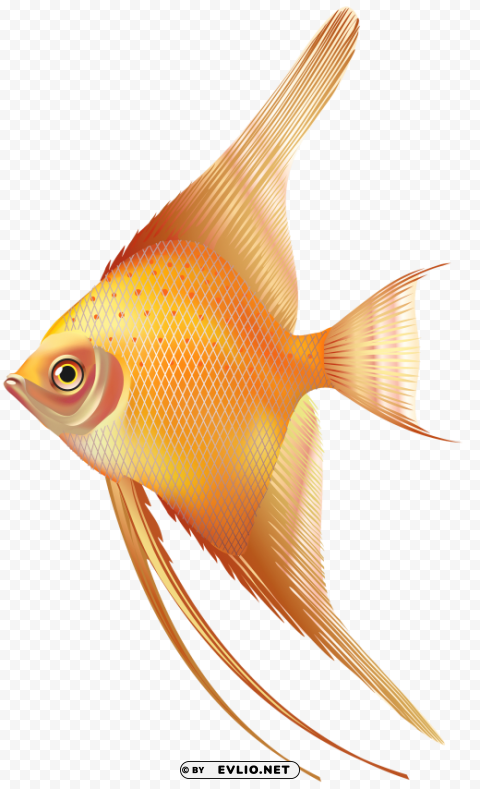 nice exotic fish CleanCut Background Isolated PNG Graphic