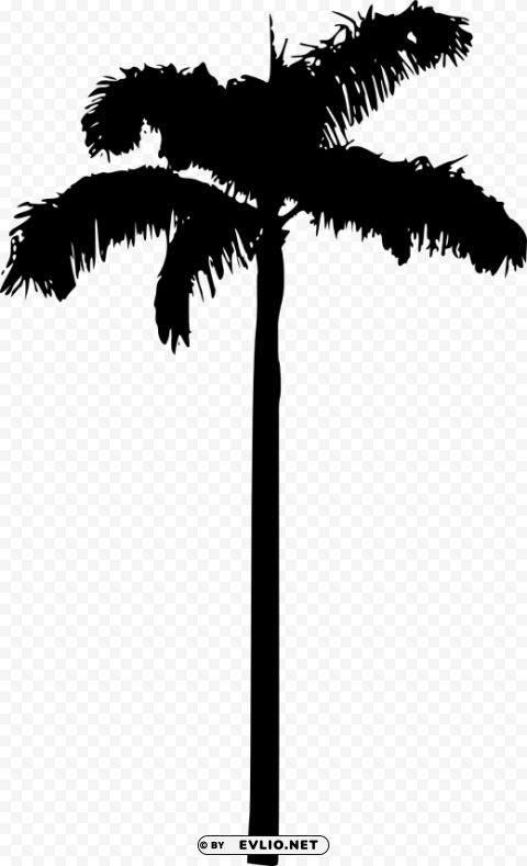 Transparent palm tree Isolated Icon in Transparent PNG Format PNG Image - ID 1a2acd66