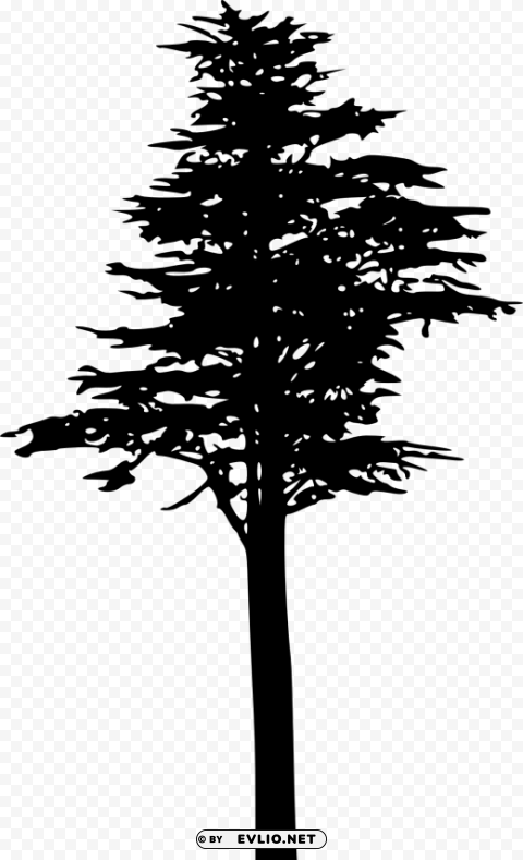 pine tree silhouette Isolated Character with Clear Background PNG