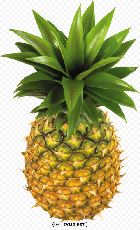 pineapple PNG images with alpha transparency diverse set