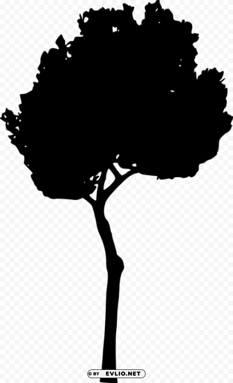 tree silhouette HighResolution PNG Isolated Artwork