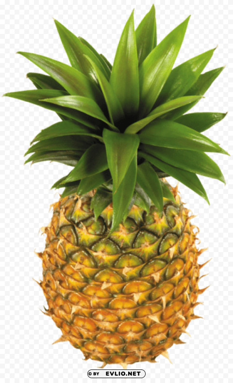 pineapple fruit Isolated Item in Transparent PNG Format