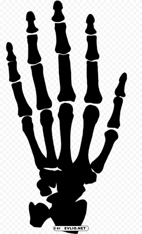 skeleton hand no Clear Background Isolated PNG Illustration