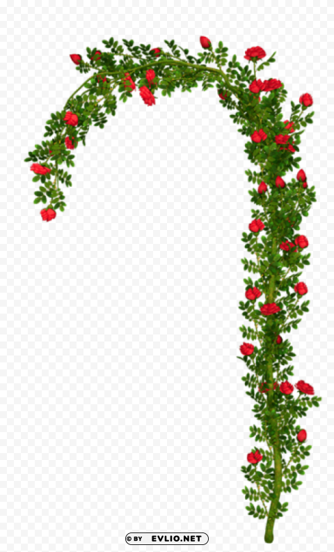 rosebush arch elementpicture Isolated Artwork in Transparent PNG