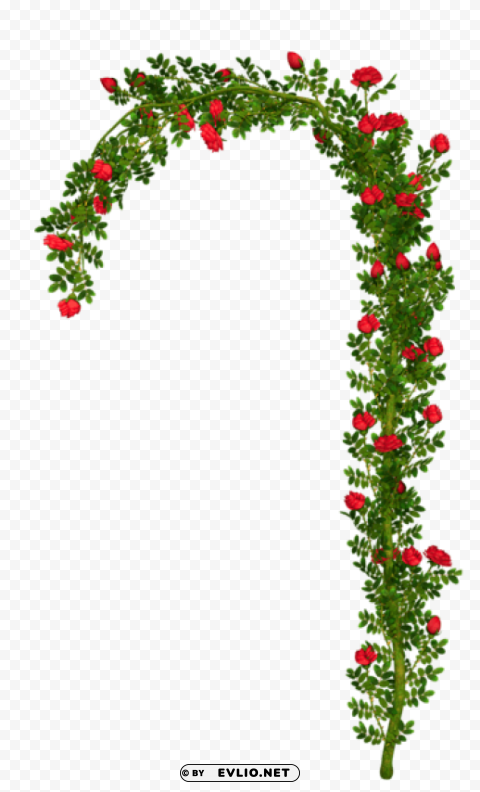 rosebush arch elementpicture Isolated Artwork in Transparent PNG clipart png photo - c9f36672